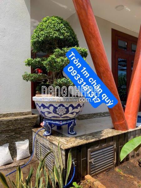 Chậu xi măng, cốt sắt bên ngoài ốp miếng sành sứ tinh tế!