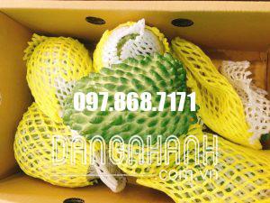 NA SẦU RIÊNG ĐÀI LOAN
