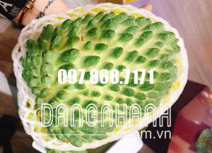 NA SẦU RIÊNG ĐÀI LOAN