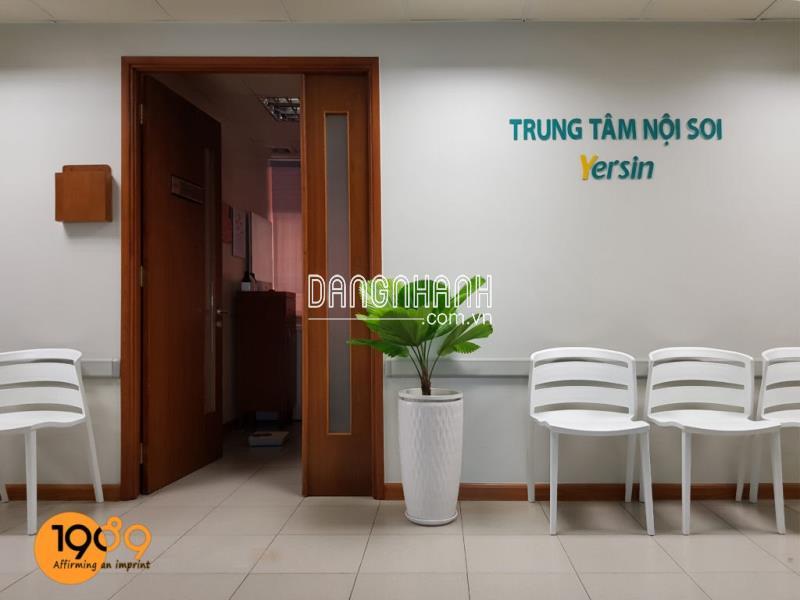 Cây Cọ Nhật