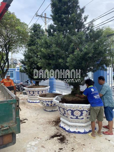 Cơ sở chậu hoa Thế Sơn - chậu hoa dán sành sứ - chậu khảm sành - cẩn miễng