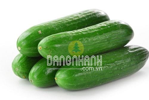 Hạt giống dưa leo, dưa chuột