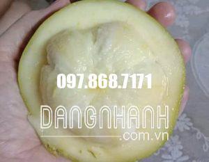 CÂY BÁNH KEM
