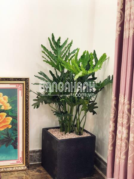 Chậu Đá Mài Vuông 37cm