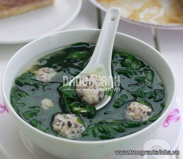 HẠT GIỐNG RAU CHÙM NGÂY