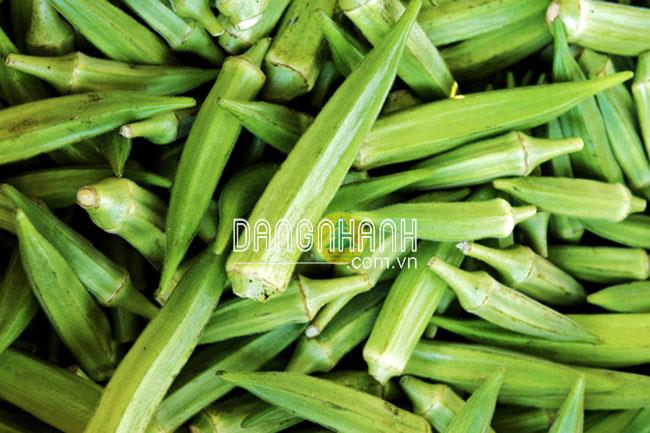 Hạt giống đậu bắp
