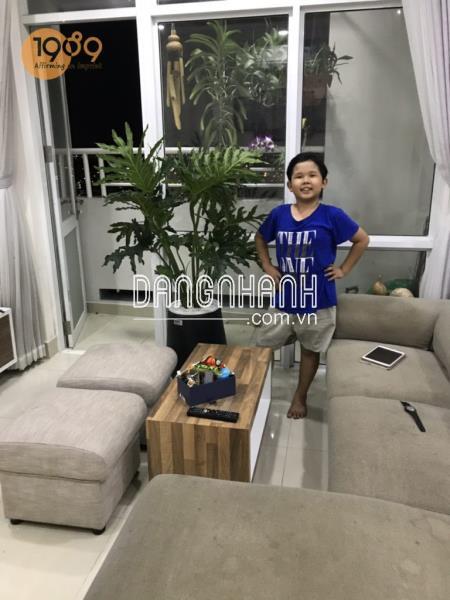 Cây Trầu Bà Thanh Xuân