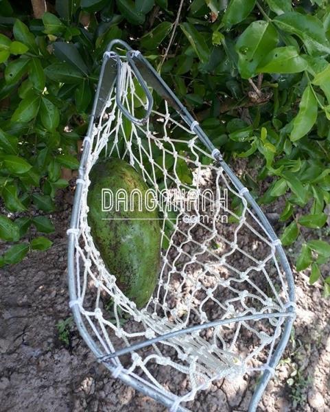 DC-LHT-HM - Lồng hái trái trên cao siêu bền