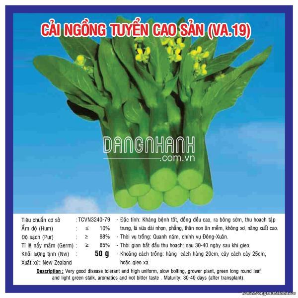 Rau Cải Ngồng Tuyển Cao sản
