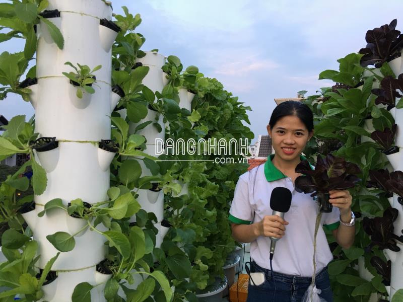 Combo Trụ Cố Định (Full phụ kiện trồng)