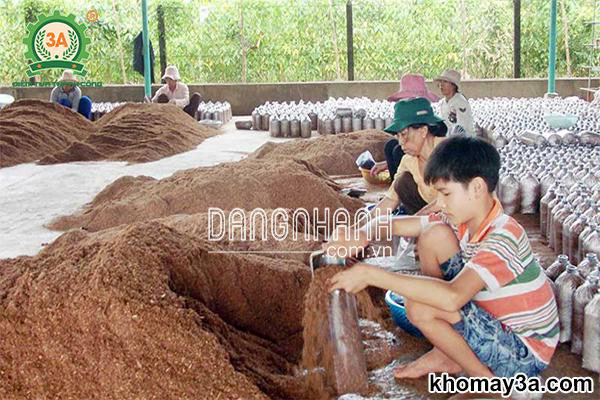 Máy đóng bịch phôi nấm 3A2,2KW