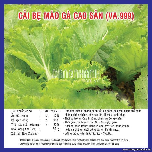 Cải Bẹ Mào gà cao sản 20gam