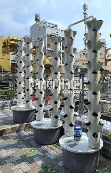 Chậu Trồng Cây Thủy Canh Trụ Đứng