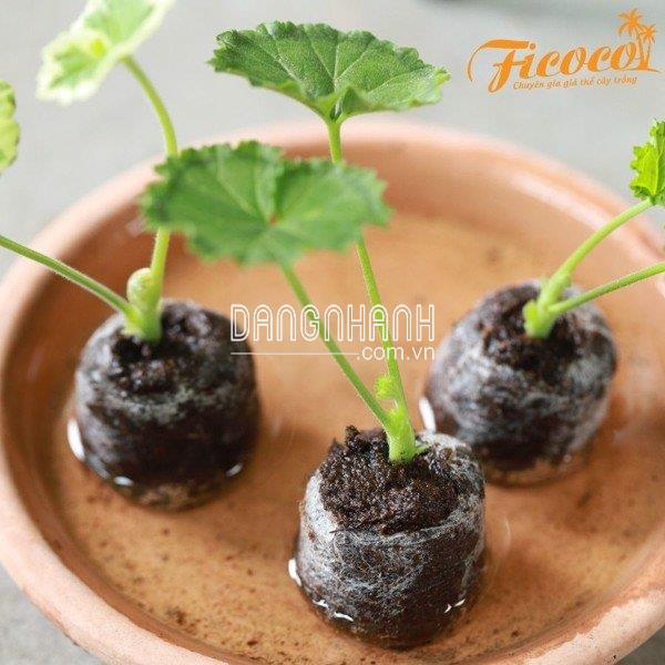 GIÁ THỂ TRỒNG CÂY THAN BÙN PEATMOSS 250 LÍT - FICOCO