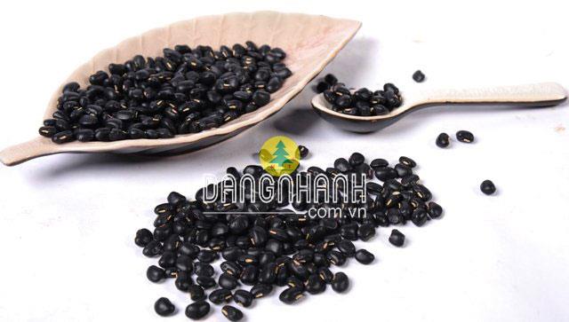 Hạt giống đậu đen
