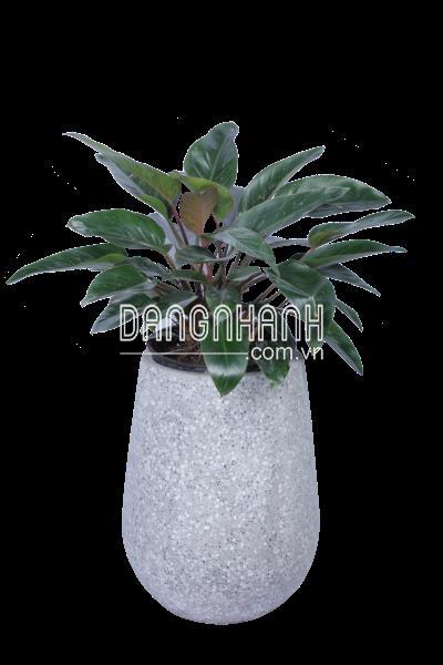 Chậu xi măng nhẹ đá mài tròn bầu đáy CFL-070 XD