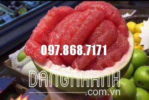 BƯỞI HƯƠNG THÁI LAN