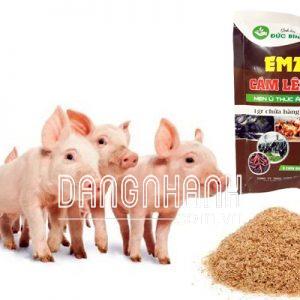 Men ủ thức ăn chăn nuôi Emzeo