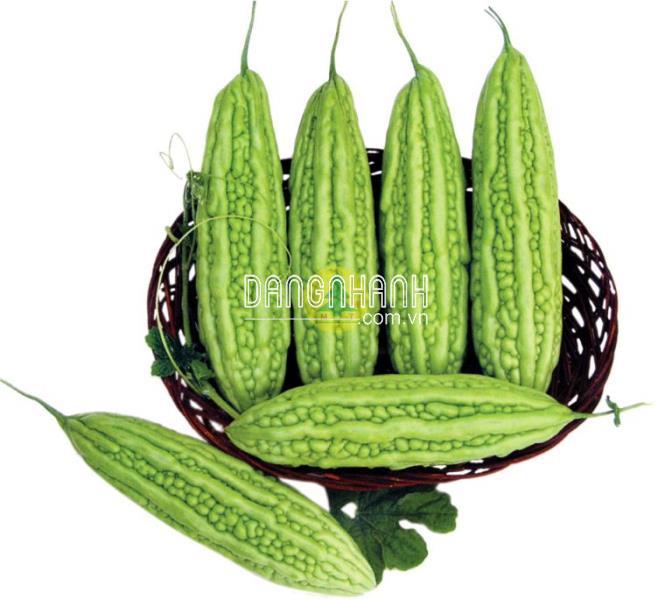 Hạt giống khổ qua trái dài