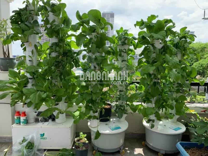 Chậu Trồng Cây Thủy Canh Trụ Đứng