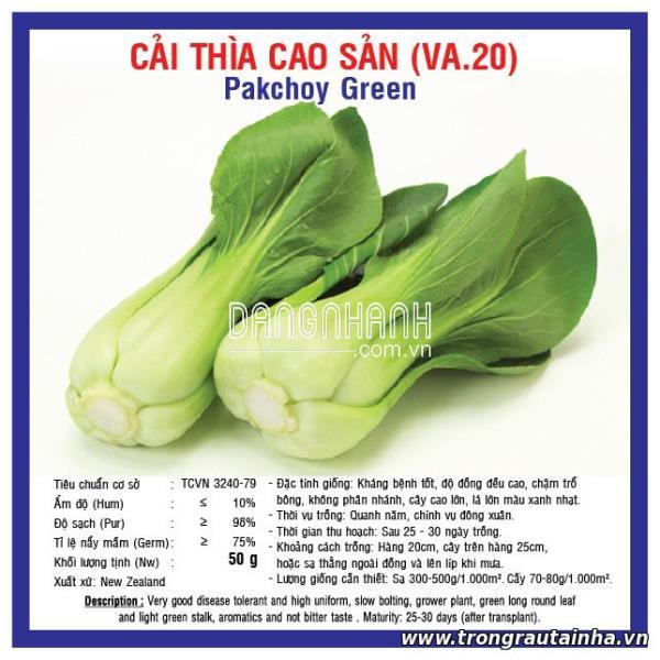 Rau Cải Thìa Cao Sản