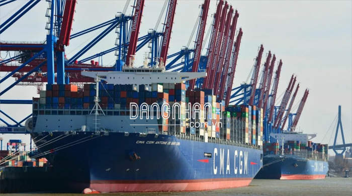 Công ty vận tải hàng hóa, kéo  container   tại  cảng. 