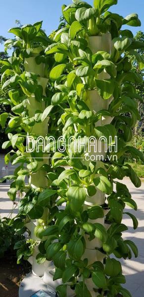 Chậu Trồng Cây Thủy Canh Trụ Đứng