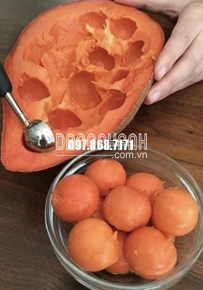 HỒNG XIÊM RUỘT ĐỎ