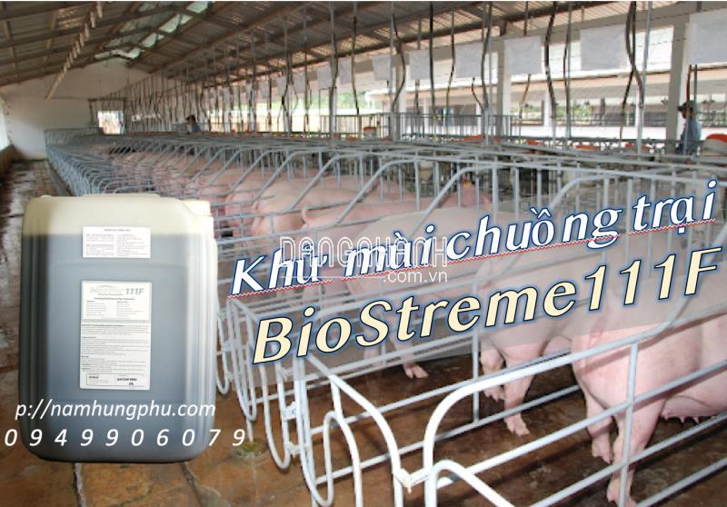 Xử lý mùi hôi chuồng trại Biostreme111F