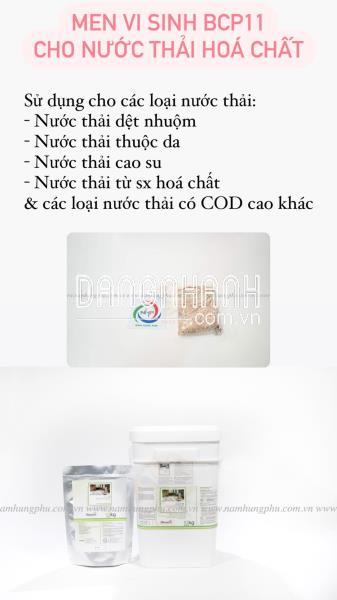 BCP11 men vi sinh xử lý nước thải dệt nhuộm 