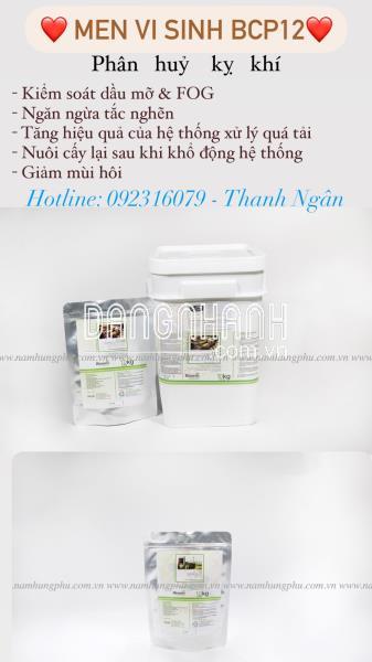 BCP12 men vi sinh Bionetix cho bể kỵ khí 