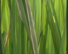 MEKYTO