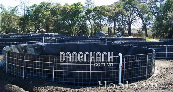 Bạt thủy sinh trồng cây, chậu trồng hoa sen súng