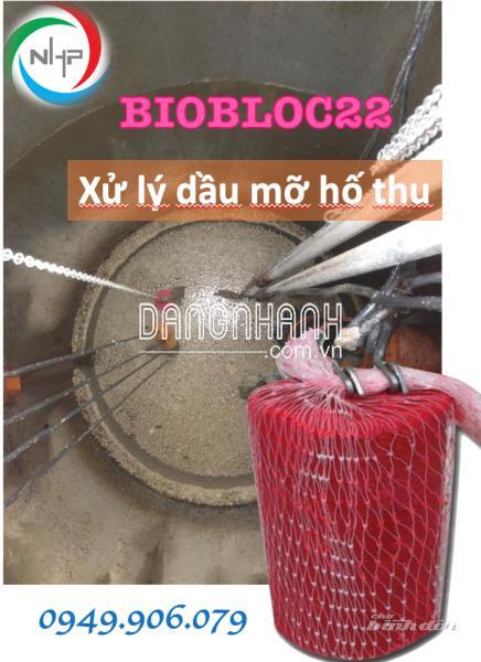 BIOBLOC22 men vi sinh dạng khối xử lý dầu mỡ trong đường hố thu, bẫy mỡ
