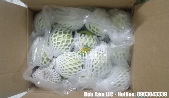 TÚI GREENMAP BẢO QUẢN TRÁI CÂY TƯƠI
