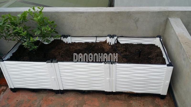 Chậu Nhựa Ghép 50cmx50cm