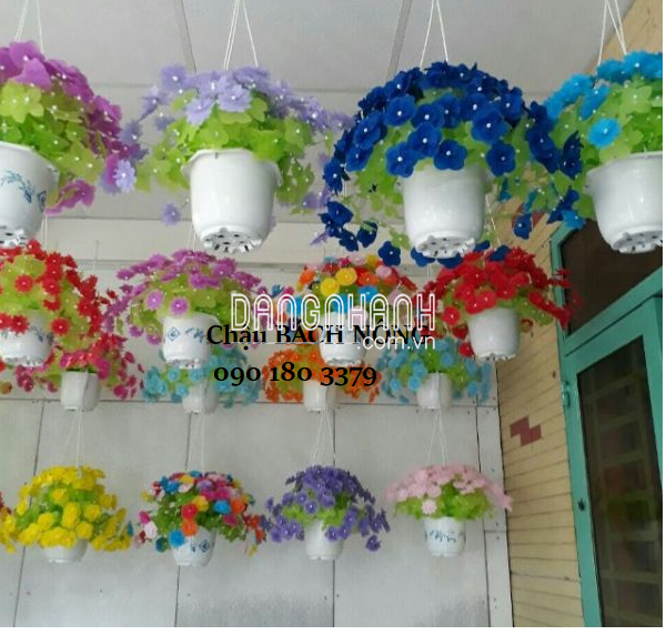 CHẬU LÀM HOA GIẤY