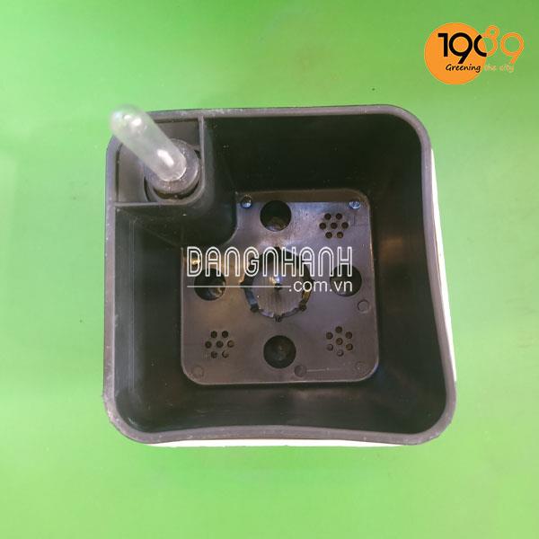 Chậu Thông Minh Tự Tưới Vuông Bầu