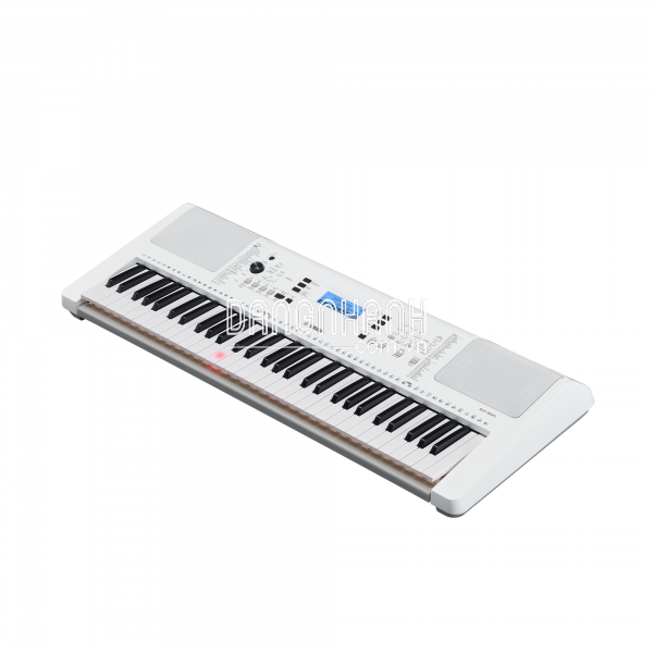 Đàn organ EZ-300