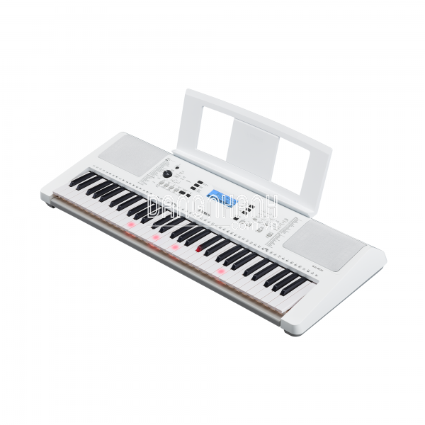 Đàn organ EZ-300
