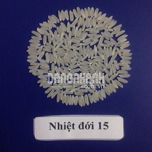 HẠT GIỐNG LÚA: NHIỆT ĐỚI 15