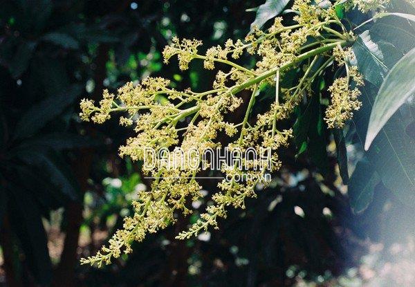 BREAKOUT - Ra Hoa Đồng Loạt.