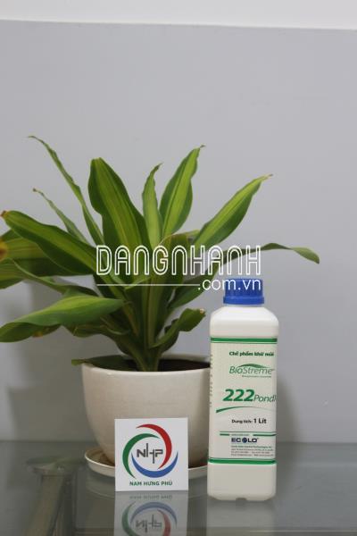 Xử lý mùi hôi thối từ hồ nước thải của các lò mổ heo (Biostreme222pondX)