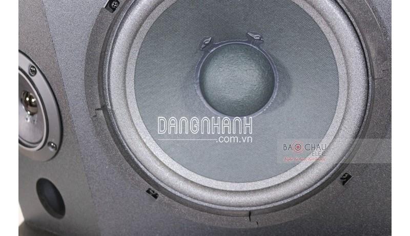 Loa karaoke BMB CSN 300SE (bass 20cm)