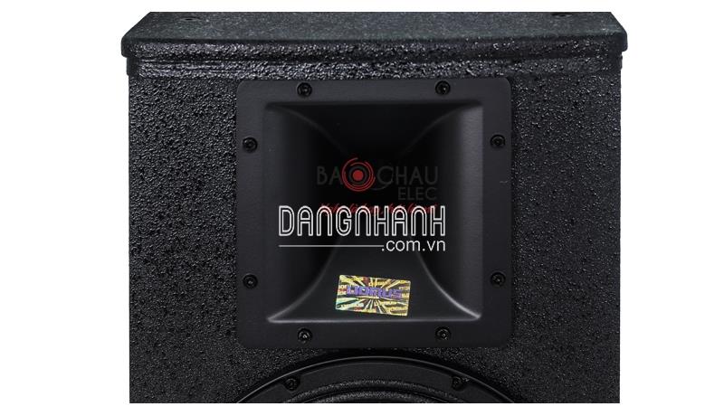 Loa karaoke Domus DP 6100 (full bass 25cm)