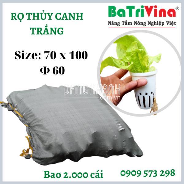 Rọ Thủy Canh Trắng (100 x 65 mm) (Φ 60)