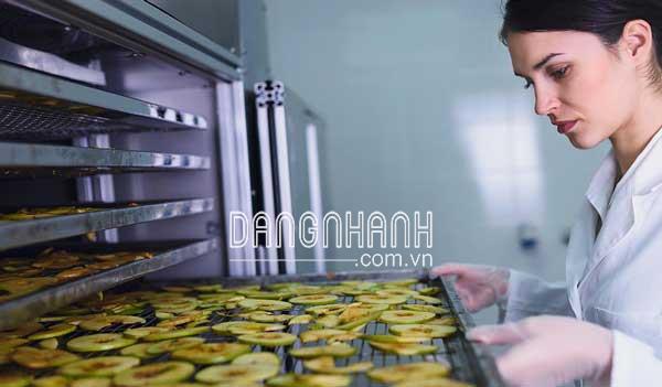 Máy sấy thăng hoa WHFD -30