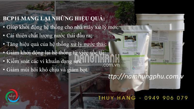 BCP11 Vi sinh hiếu khí xử lý nước thải dệt nhuộm (0949906079)