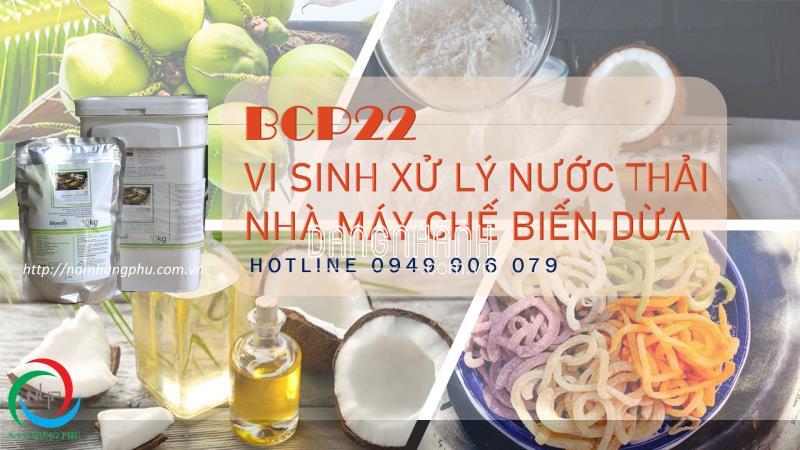 BCP22 men vi sinh xử lý nước thải chế biến cơm dừa (0949906079)