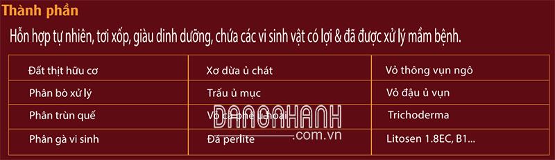 Đất Trồng Kiểng Lá